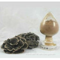 Coriolus Versicolor Polysaccharide;GMP/HACCP Certificate;edible and medicinal mushroom processing enterprise